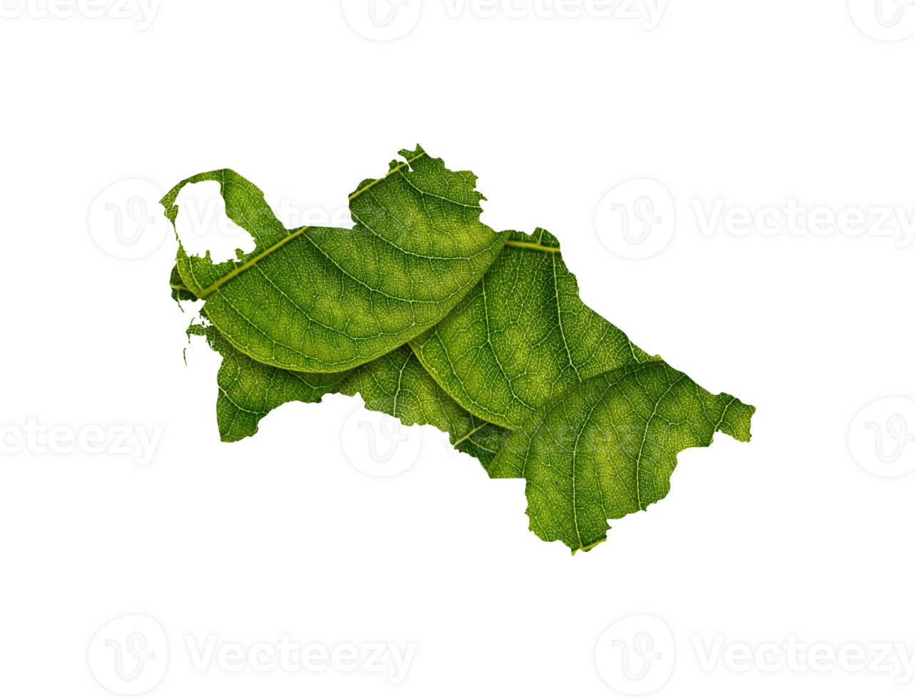 Turkmenistan map made of green leaves ecology concept png