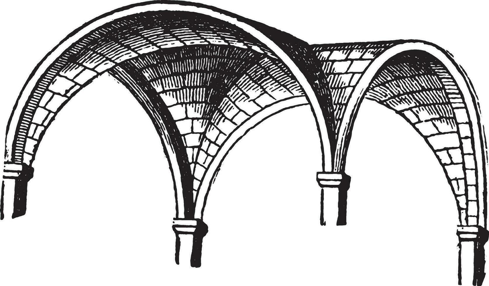 Groined vault, vintage engraving. vector