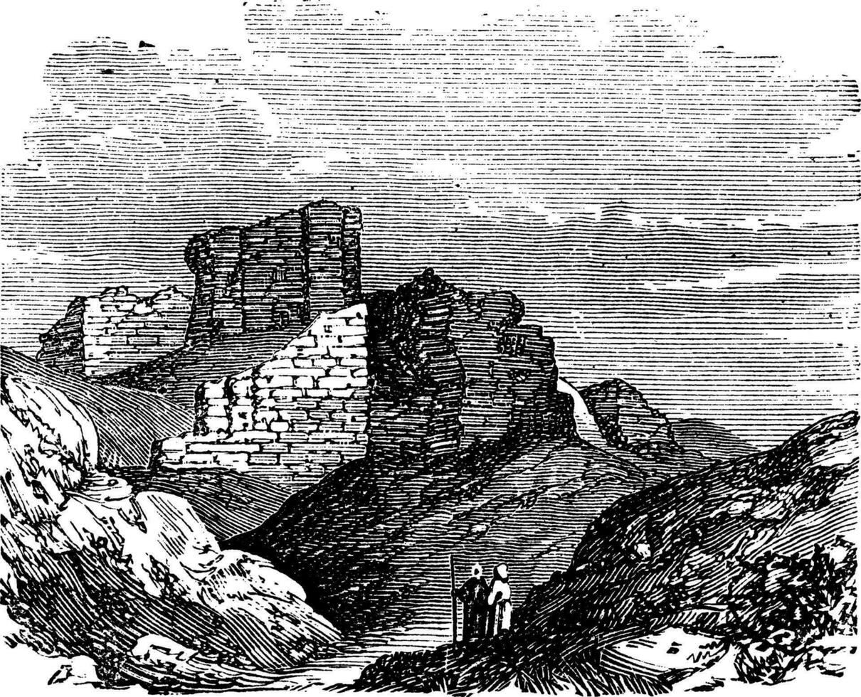 Ruins of the Main Palace in Babylonia vintage engraving. vector