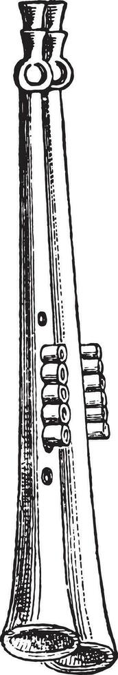 Double Flute, vintage engraving. vector