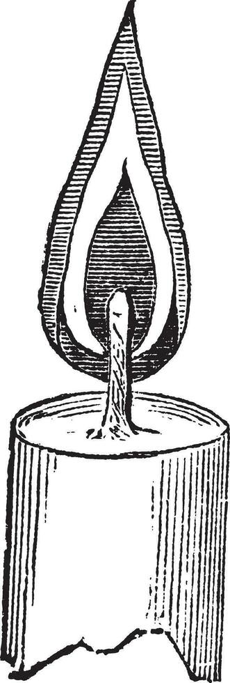 Candle Flame, vintage engraved illustration vector