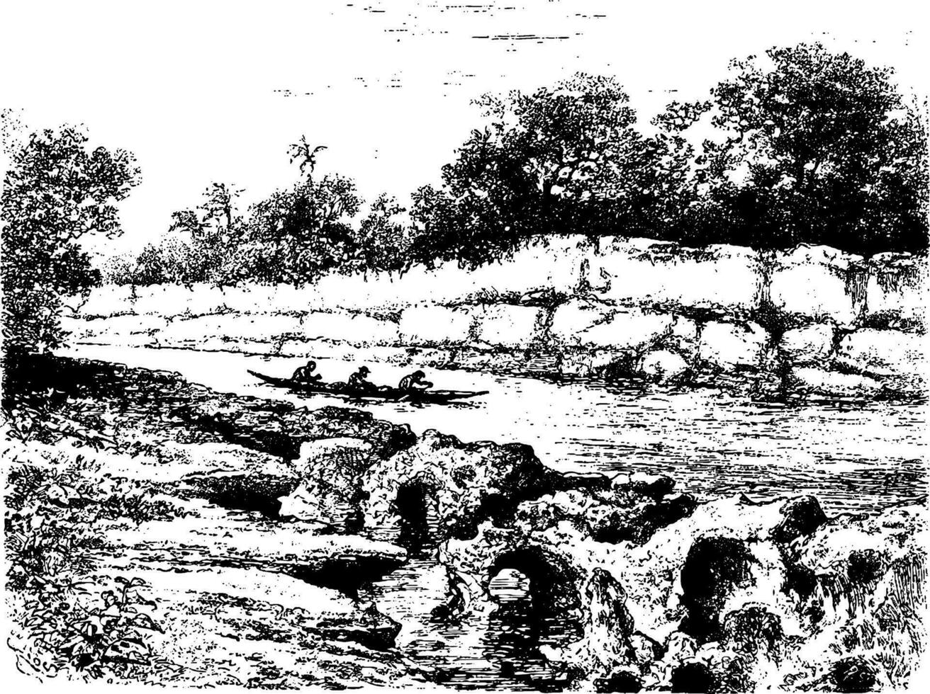 el río se estrecha en oiapoque, Brasil, Clásico grabado vector