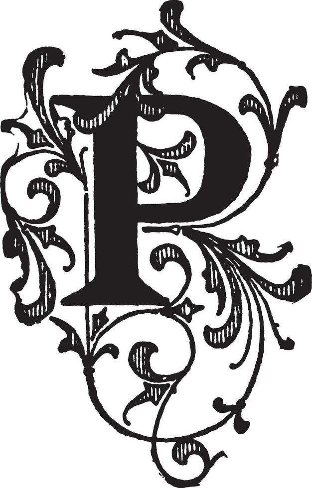 P, Floral initial, vintage illustration vector