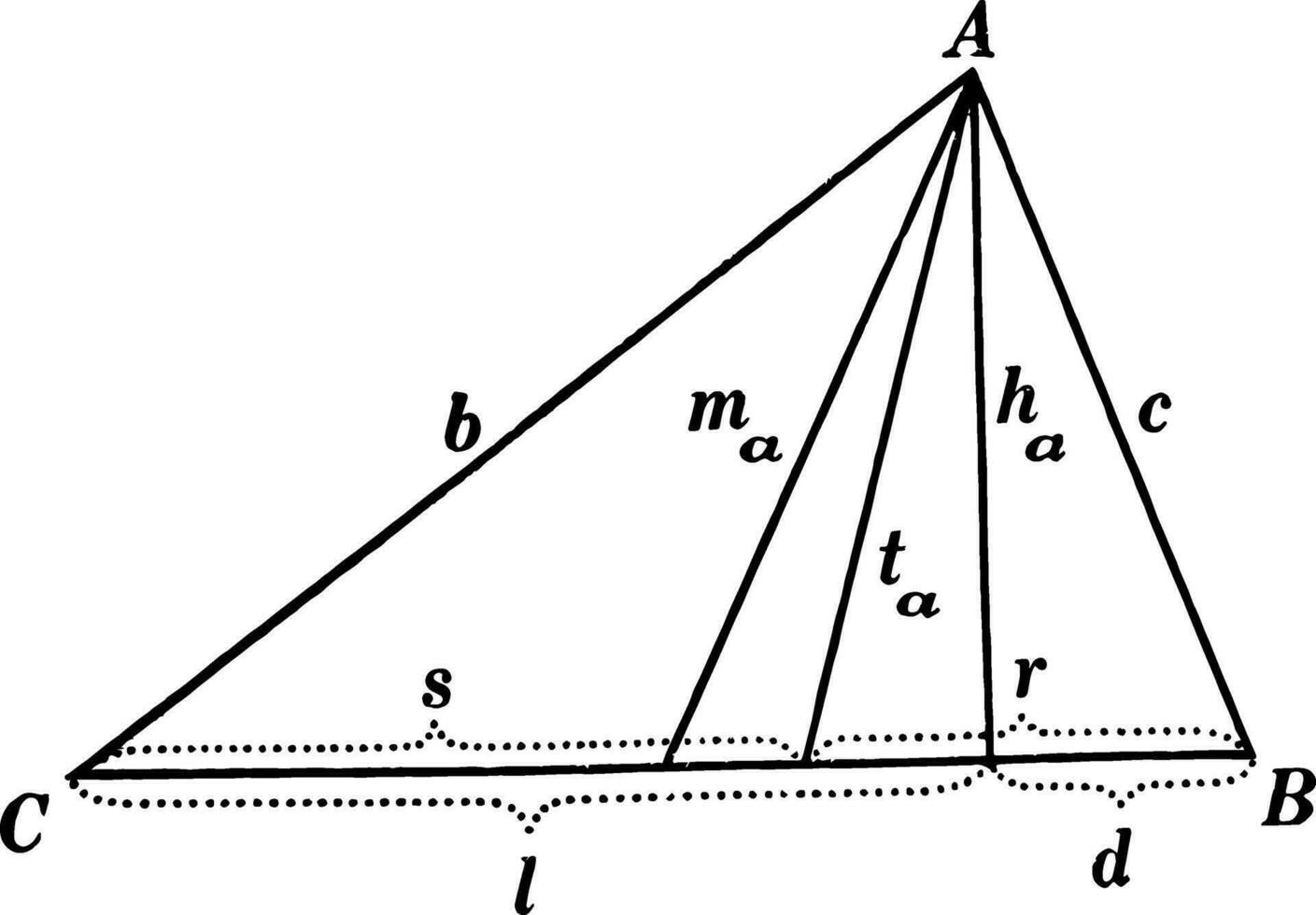 Parts Of A Triangle vintage illustration. vector