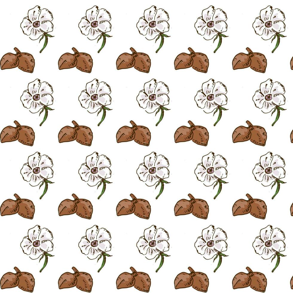 botanical seamless pattern with baobab flower vector