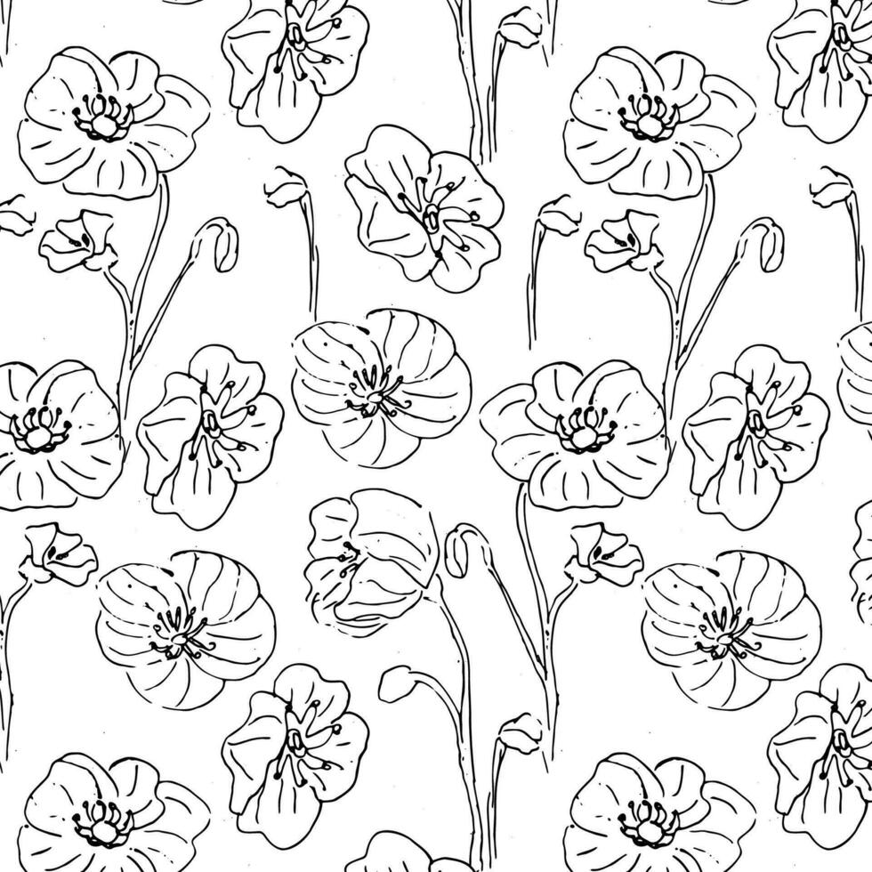 Vector Seamless Floral Doodle Pattern Poppy