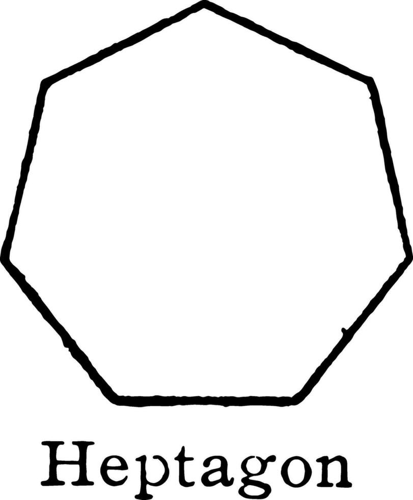 Heptagon vintage illustration. vector