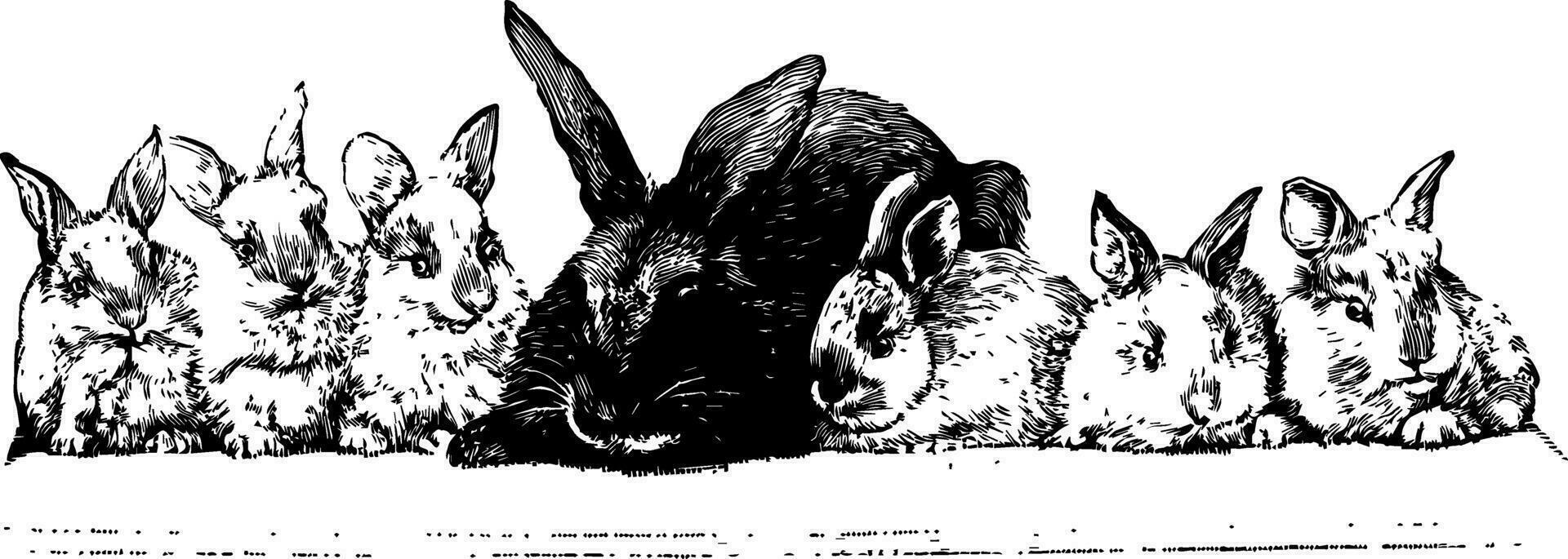Rabbits vintage illustration. 35145491 Vector Art at Vecteezy