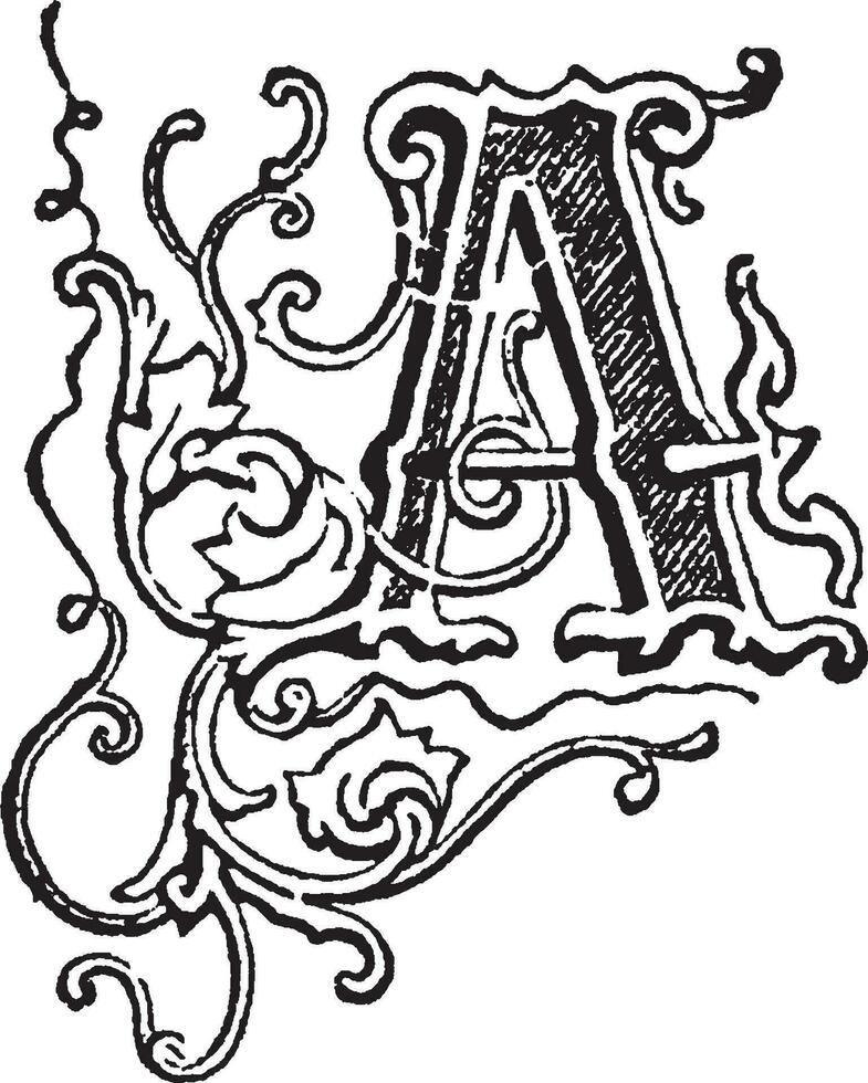 A, Ornate, vintage illustration vector