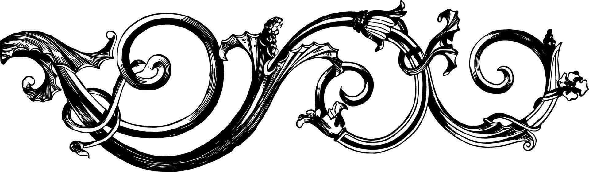 Scroll vintage illustration. vector