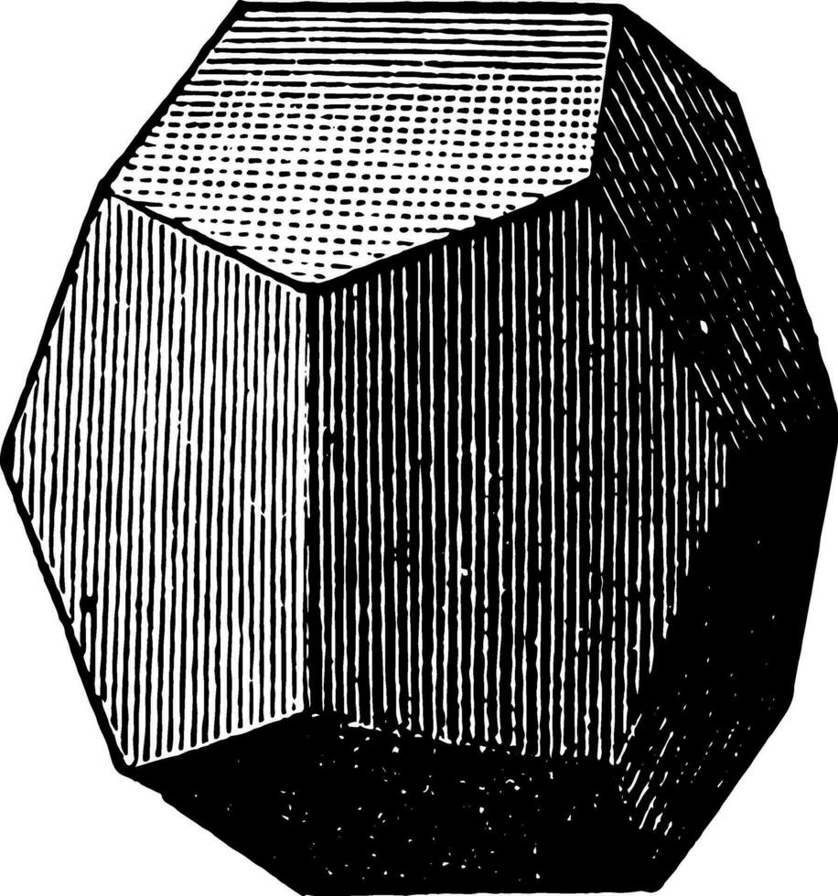 Pentagonal Dodecahedron vintage illustration. vector