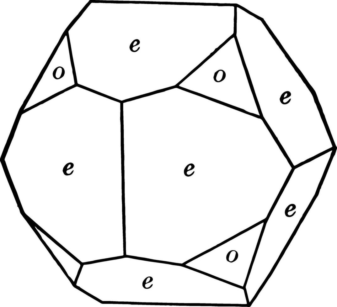 Pyritohedron and octahedron vintage illustration. vector