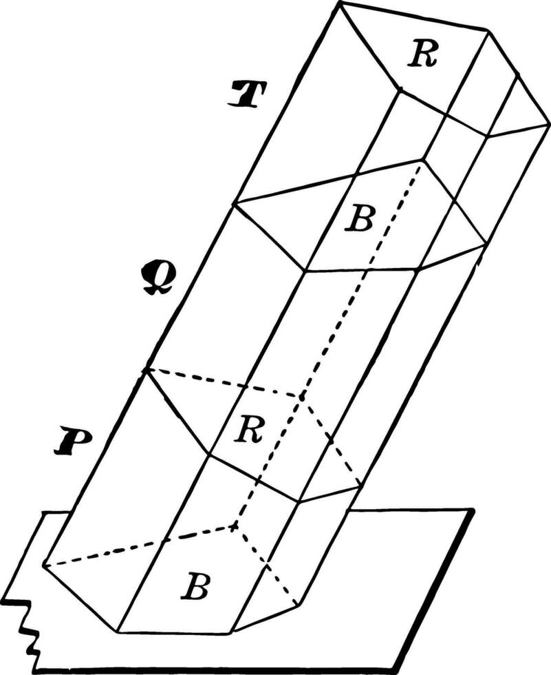 oblicuo prisma truncado dentro 3 secciones Clásico ilustración. vector