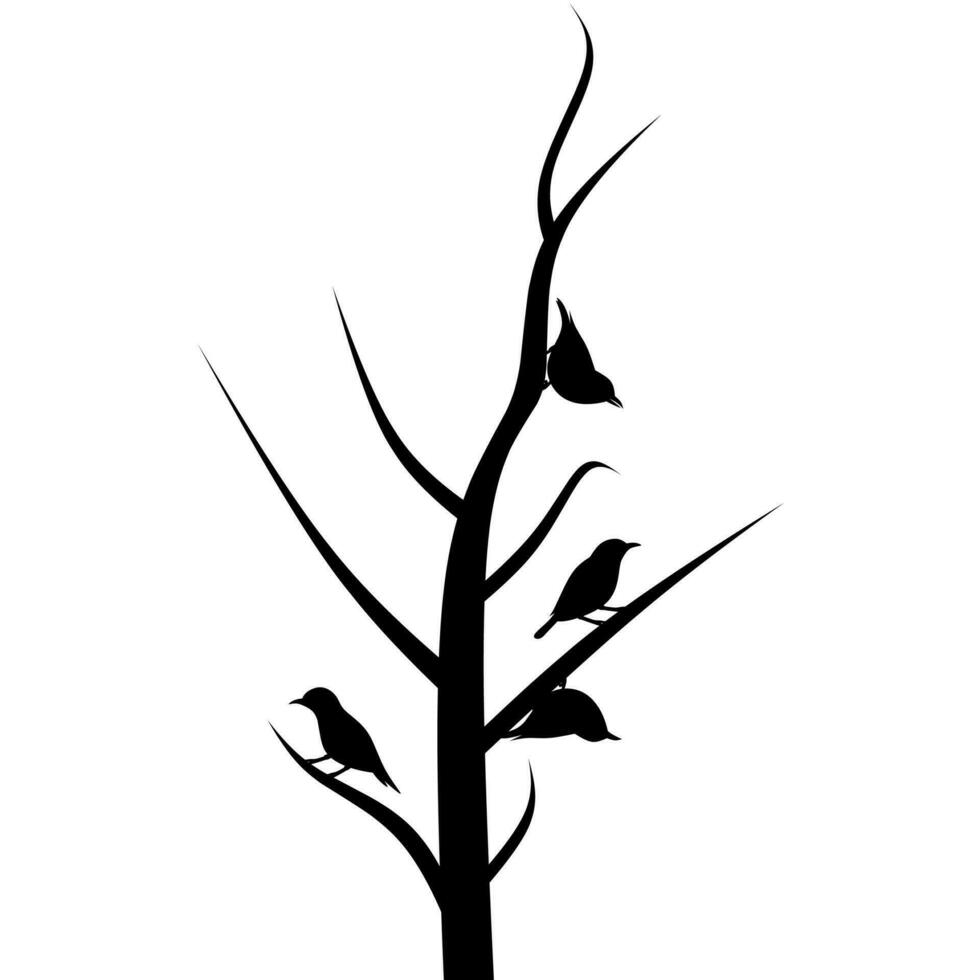 Silhouette of Group of Birds on Dry Tree Branch, Vector, Silhouette of Birds, Wall Sticker, Group of Birds, Art Decoration, Silhouette of Birds on branch isolated on white background. vector