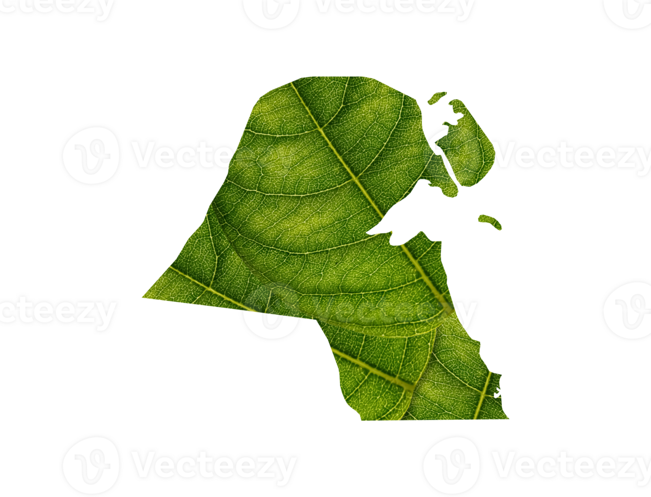 Kuwait map made of green leaves ecology concept png