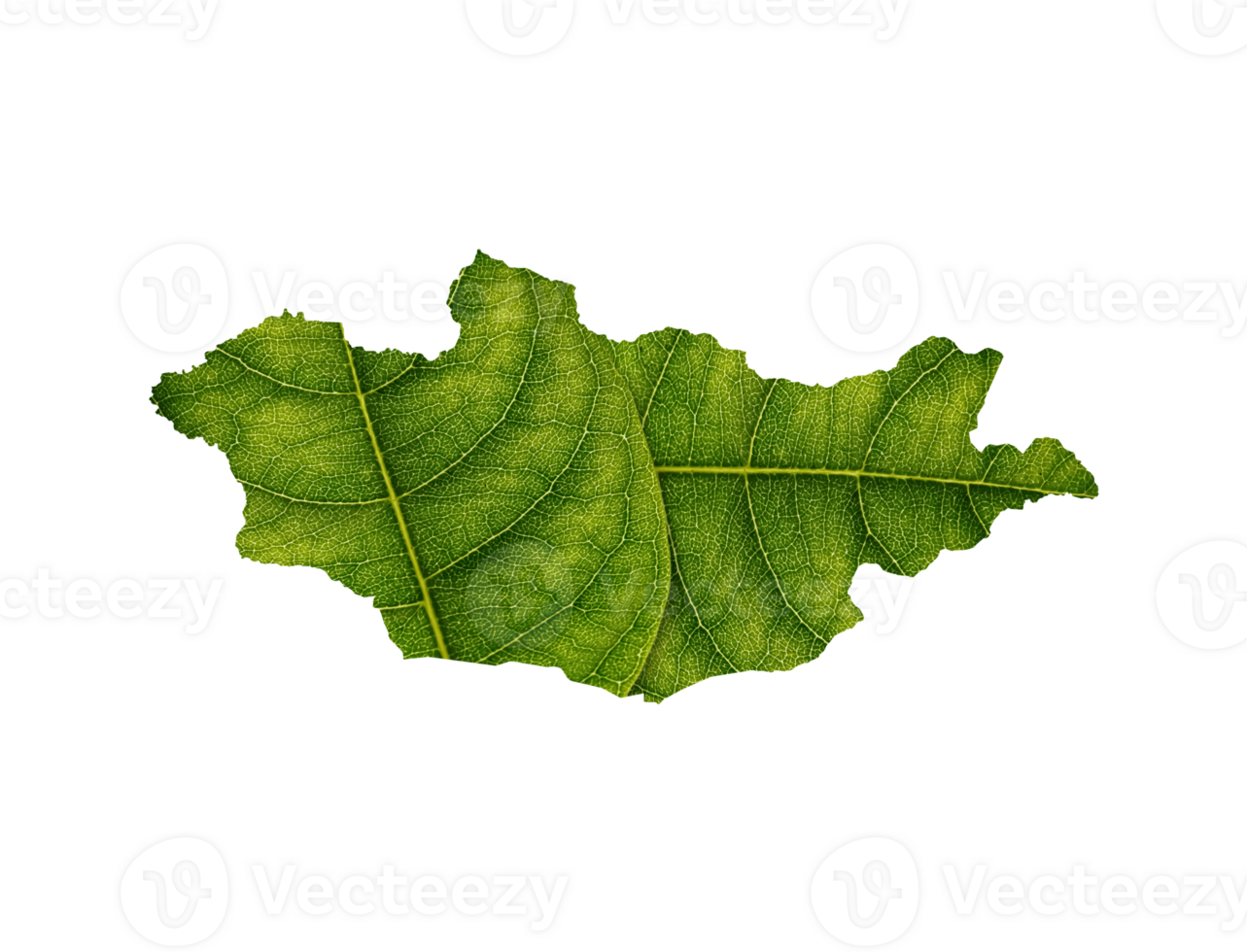 Mongolia map made of green leaves ecology concept png