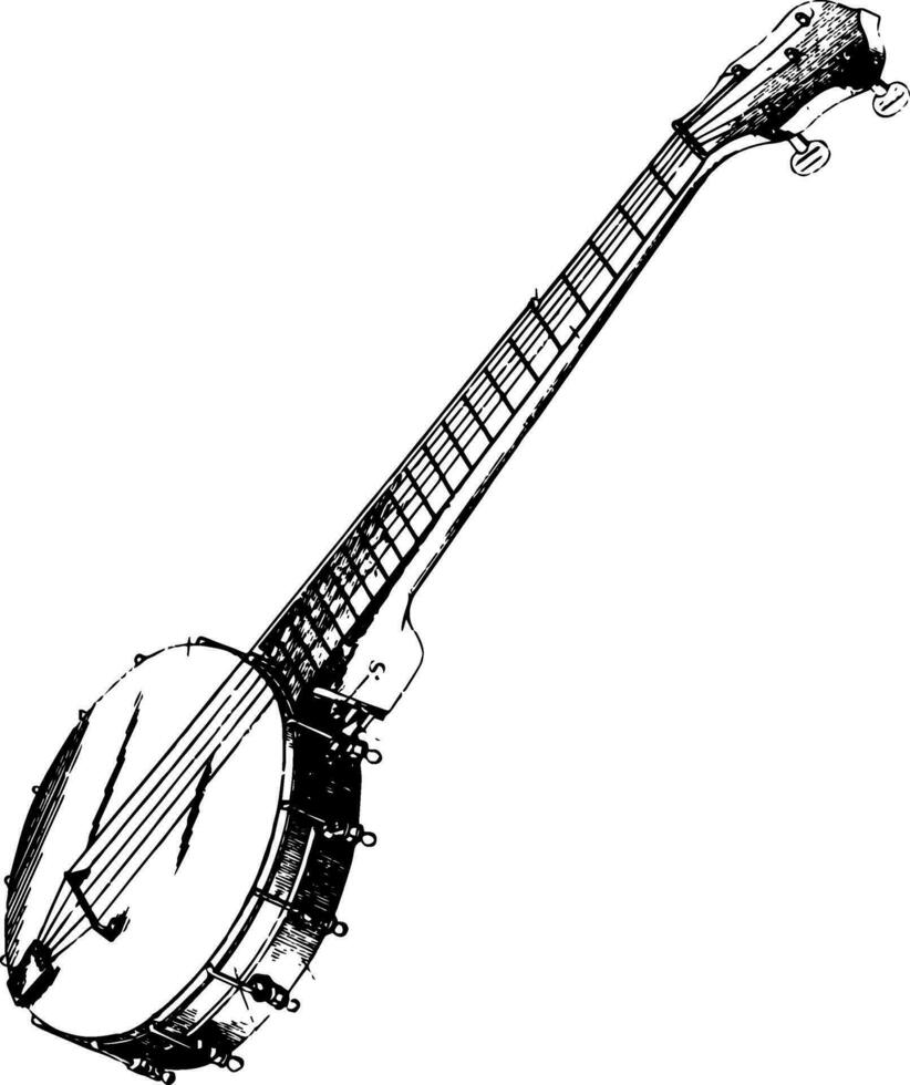 Rendered View of a Banjo, vintage illustration. vector