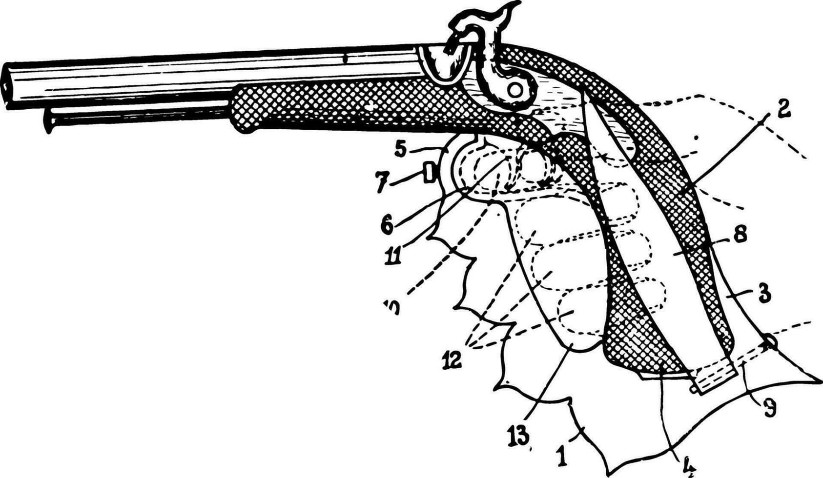 Handheld Firearm, vintage illustration. vector