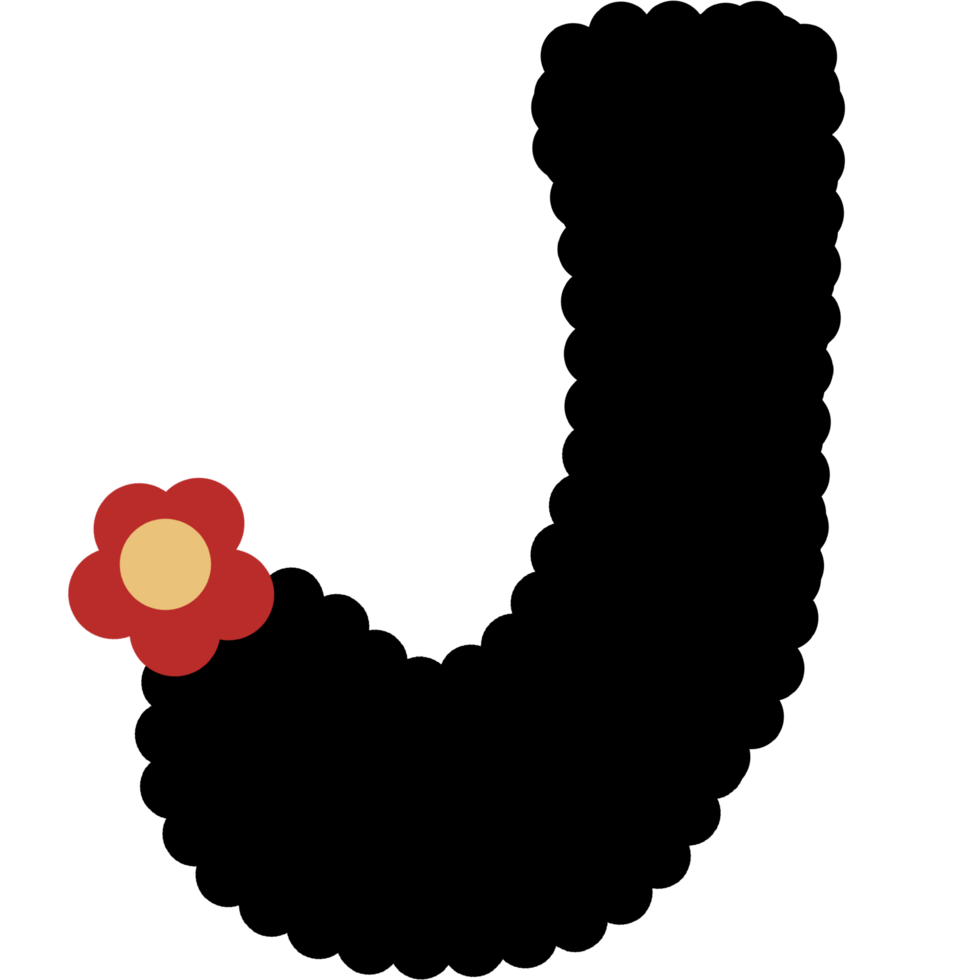 alphabet. Font with black color and red flower. png