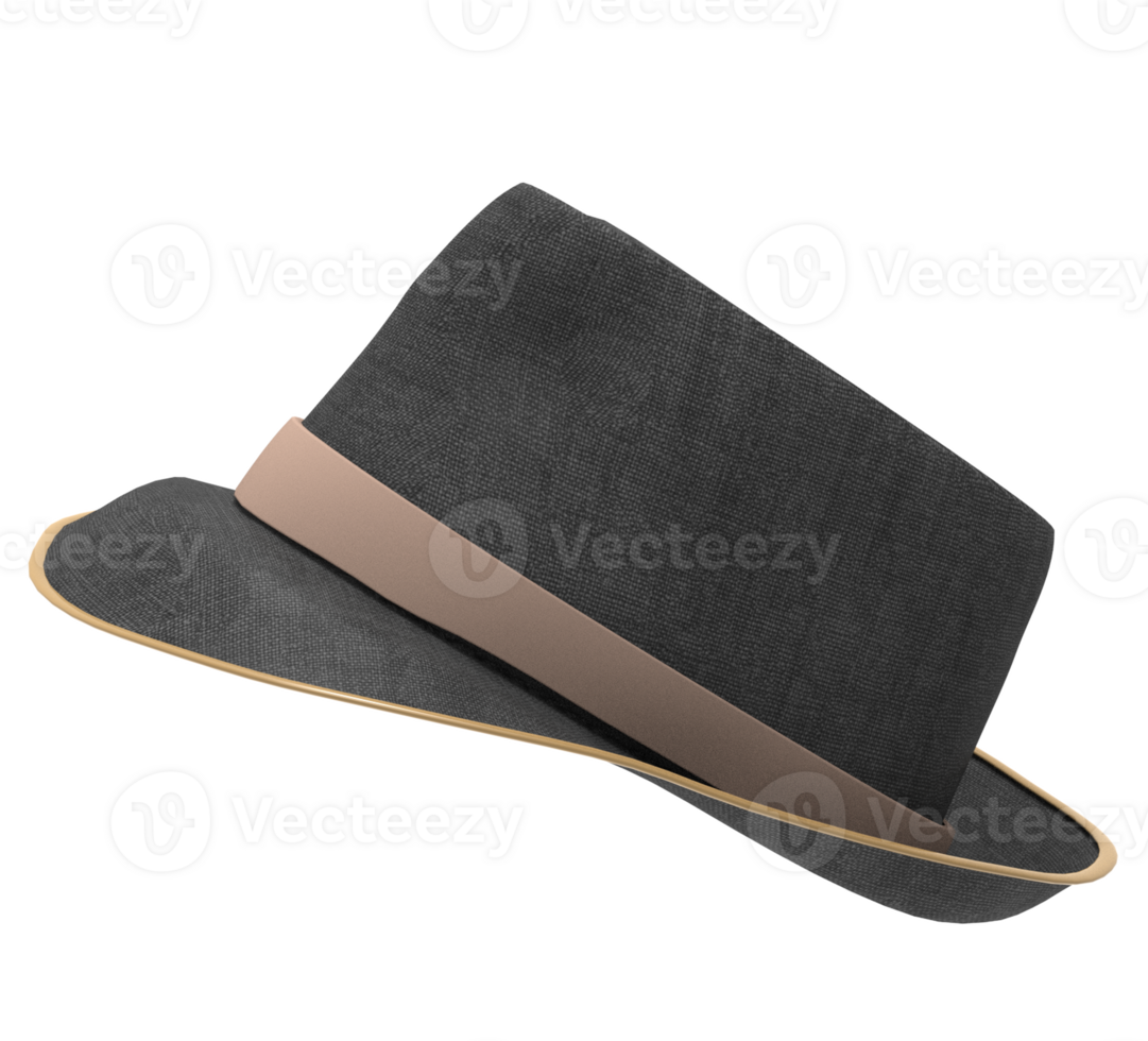 a hat on a transparent background png