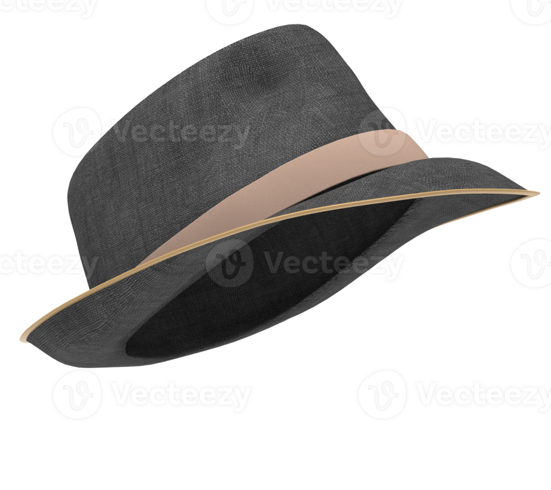 a hat on a transparent background png