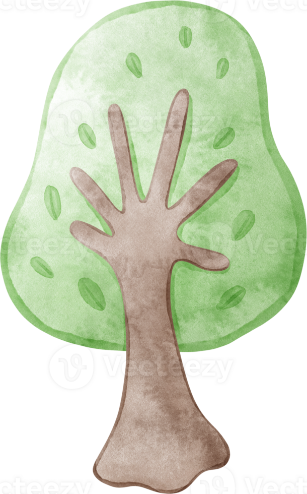 watercolor tree illustration png