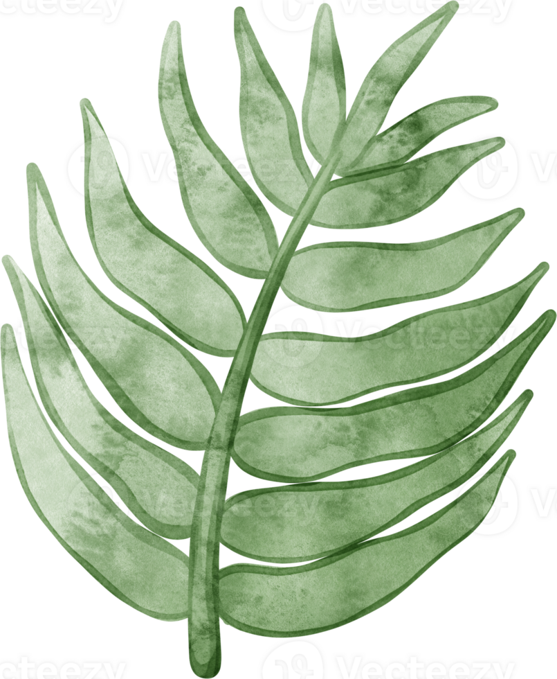 watercolor leaves illustration png