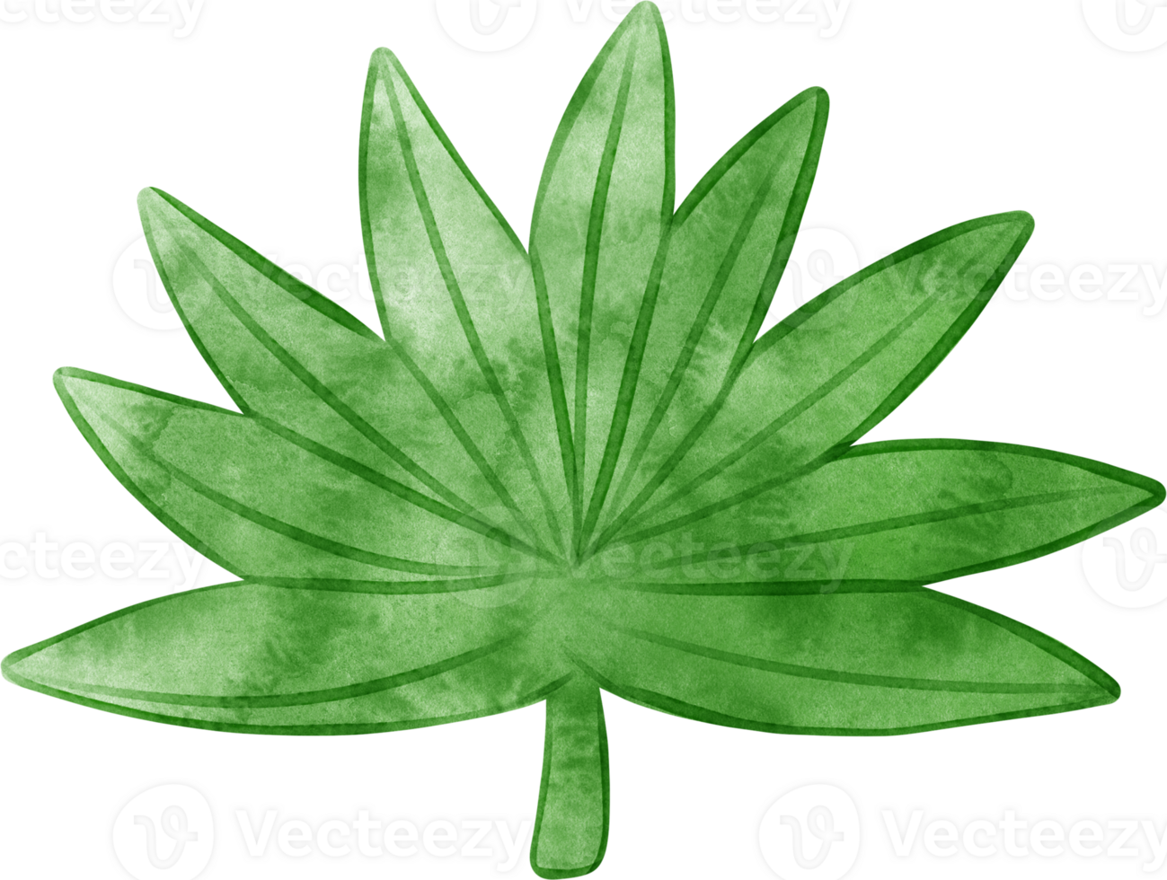 watercolor leaves green illustration png