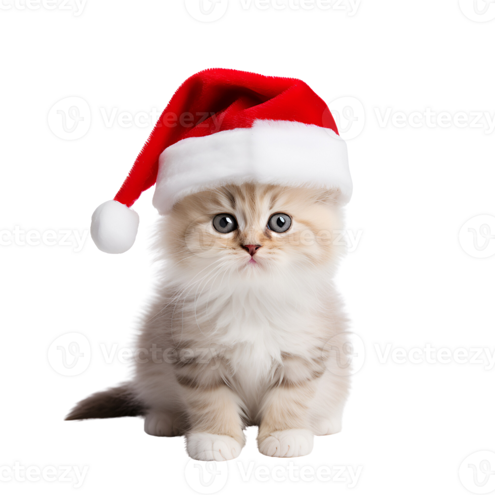 AI generated Cute Kitty Cat with Christmas Hat No Background Perfect for Print on Demand Merchandise png