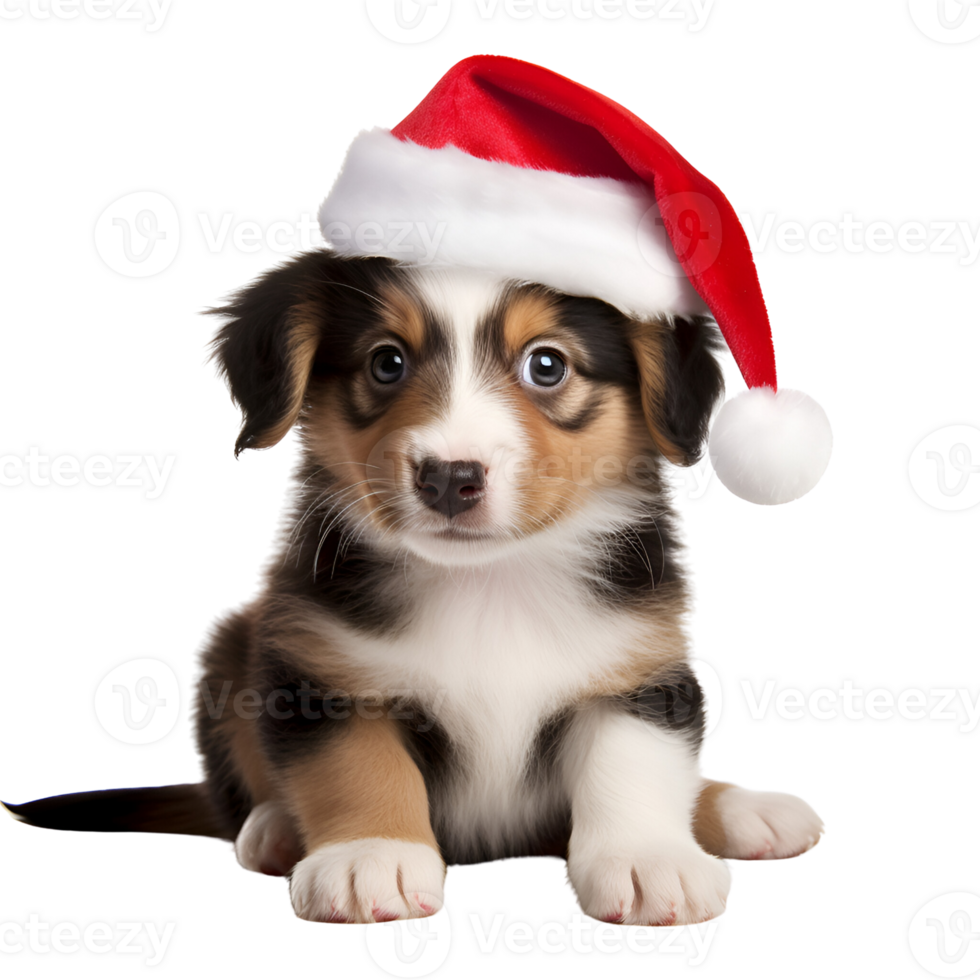 AI generated Artistic Realistic Style Cute Puppy Dog with Christmas Hat No Background Perfect for Print on Demand Merchandise png