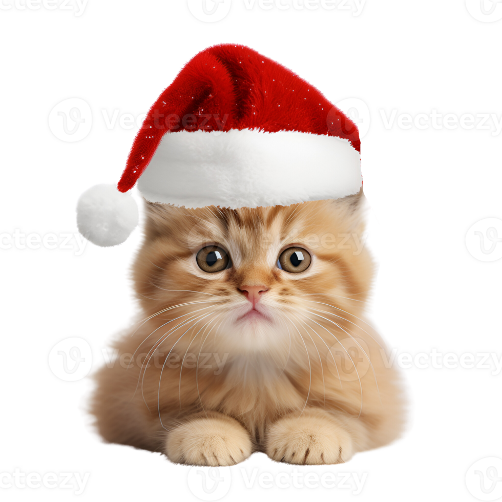 AI generated Cute Kitty Cat with Christmas Hat No Background Perfect for Print on Demand Merchandise png