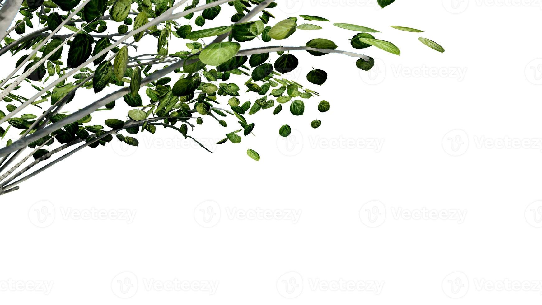 tree leave nature transparent cut out forest isolated background 3d render. photo