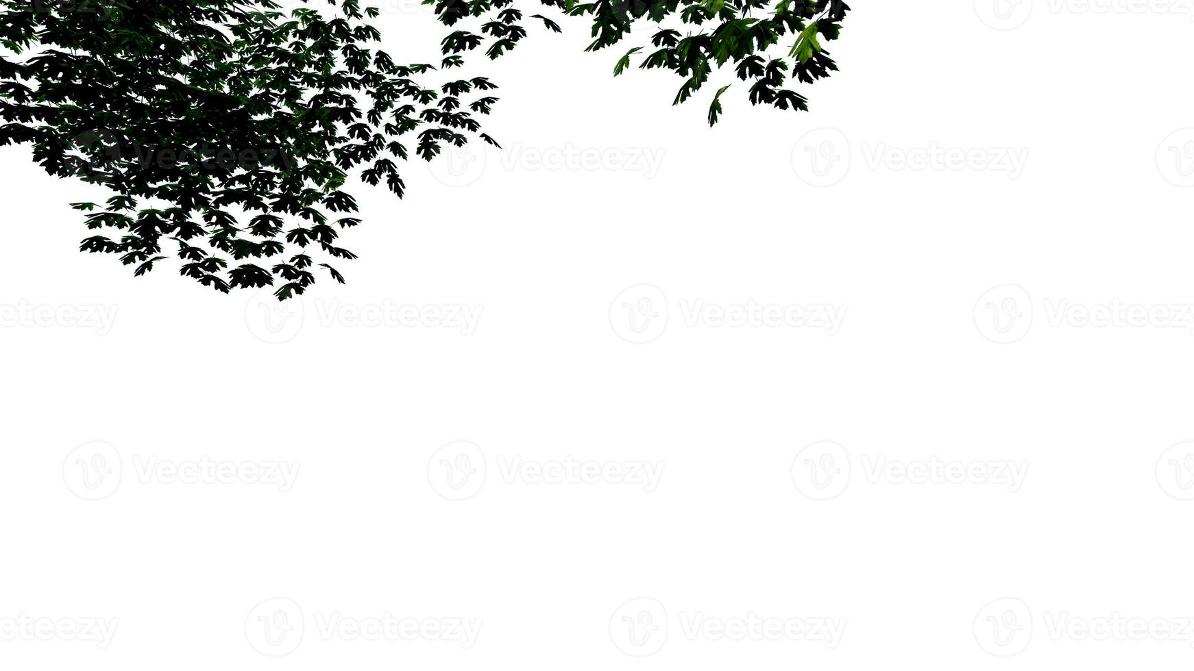 tree leave nature transparent cut out forest isolated background 3d render. photo