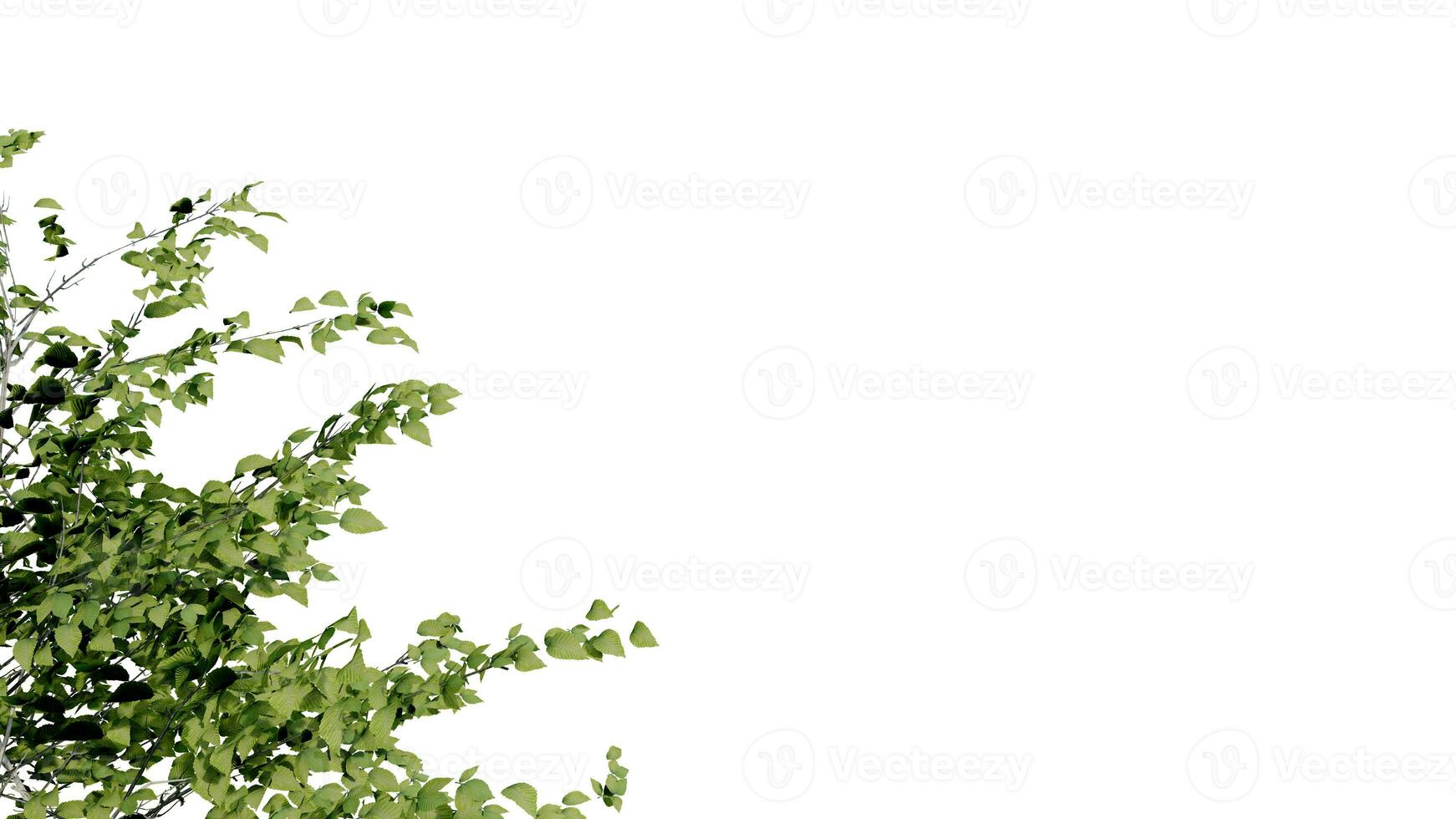 tree leave nature transparent cut out forest isolated background 3d render. photo