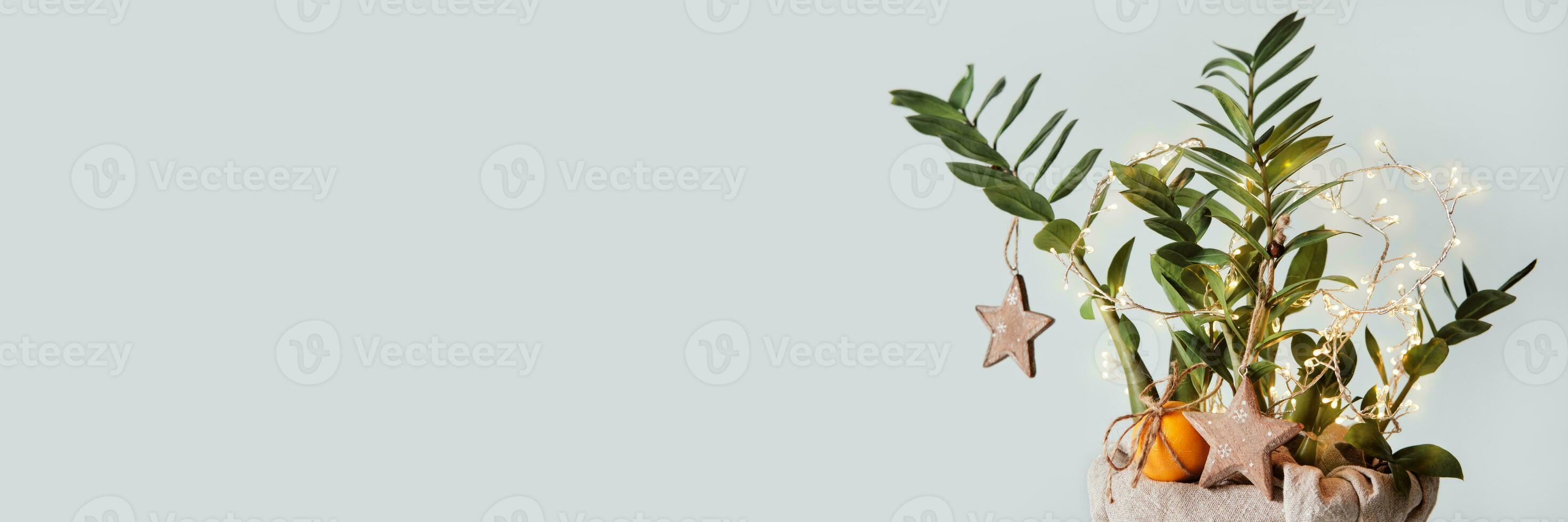 Banner with Houseplant Christmas tree decorated with wooden stars and tangerines. Sustainable Christmas decor photo