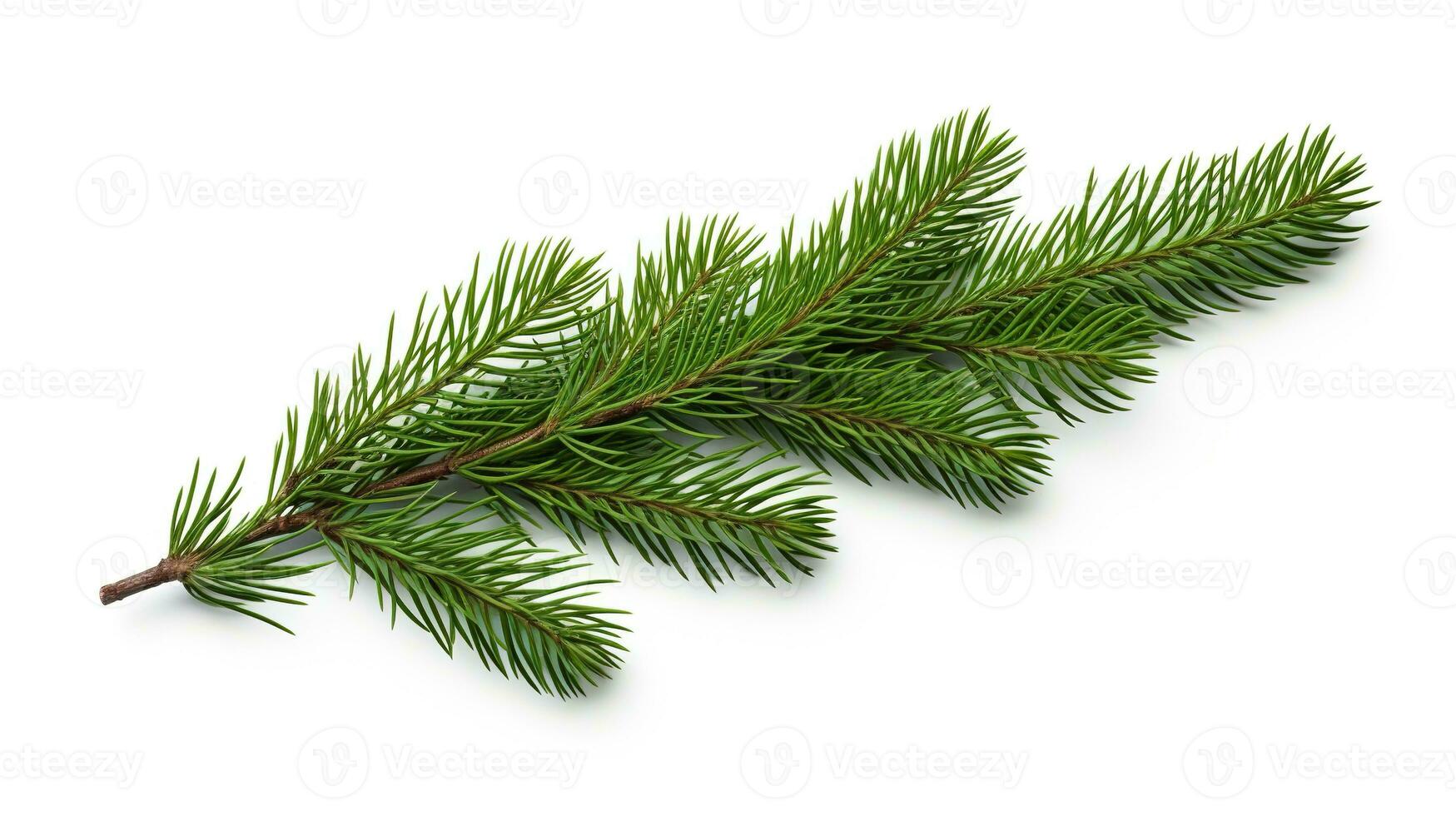 AI generated Spruce Branch Isolated on the White Background, Christmas Event photo