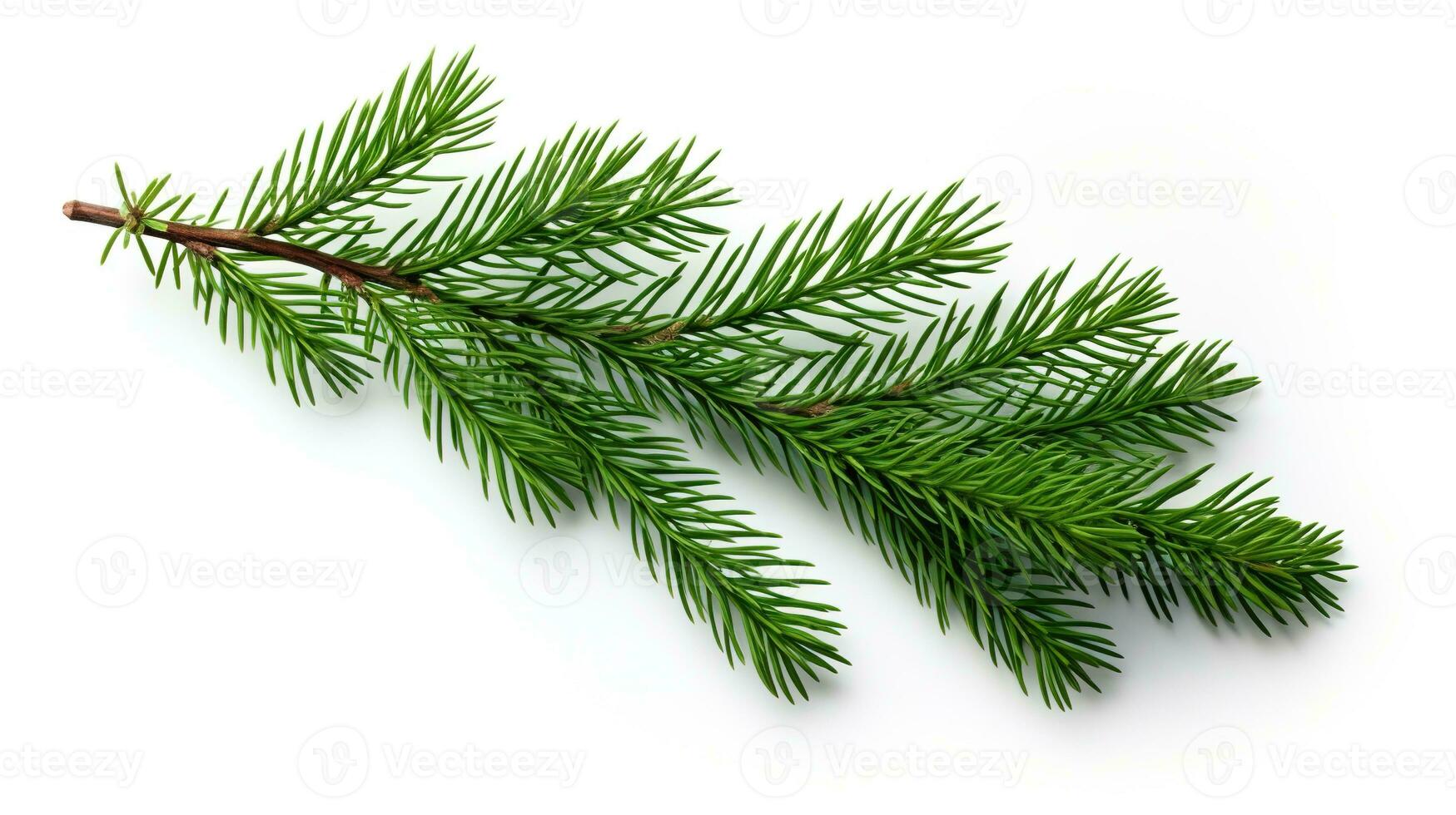 AI generated Spruce Branch Isolated on the White Background, Christmas Event photo