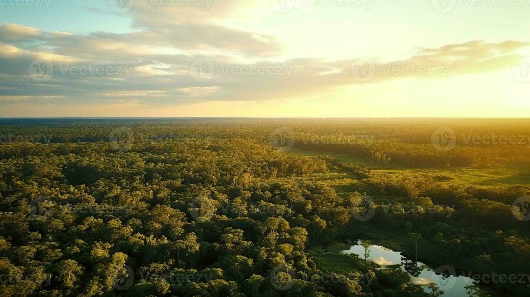 AI generated Beautiful Green Forest Landscape with Golden Hour Time photo