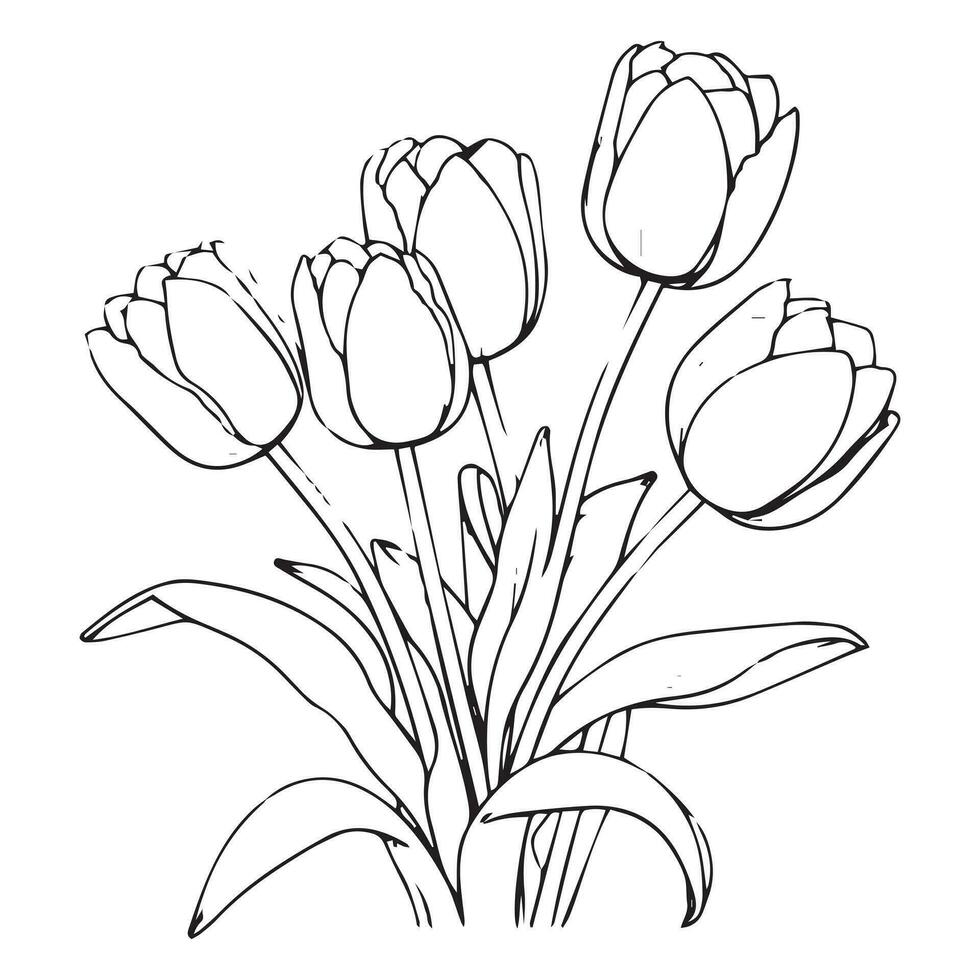 Hand drawn art of tulips branches. Flower isolated on white background. Vintage vector illustration