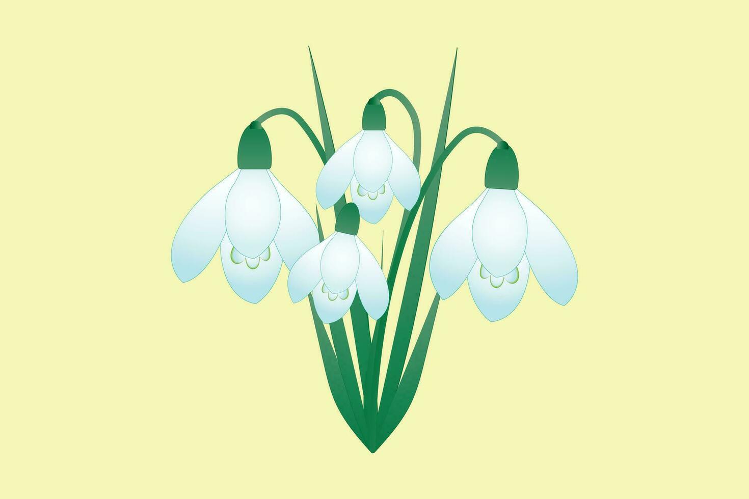 Snowdrop flowers. Bouquet isolated on a yellow background. vector illustration.