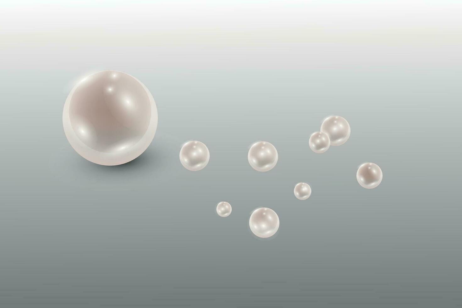 White natural pearls in mother-of-pearl color isolated on a silver background.Vector illustration. vector