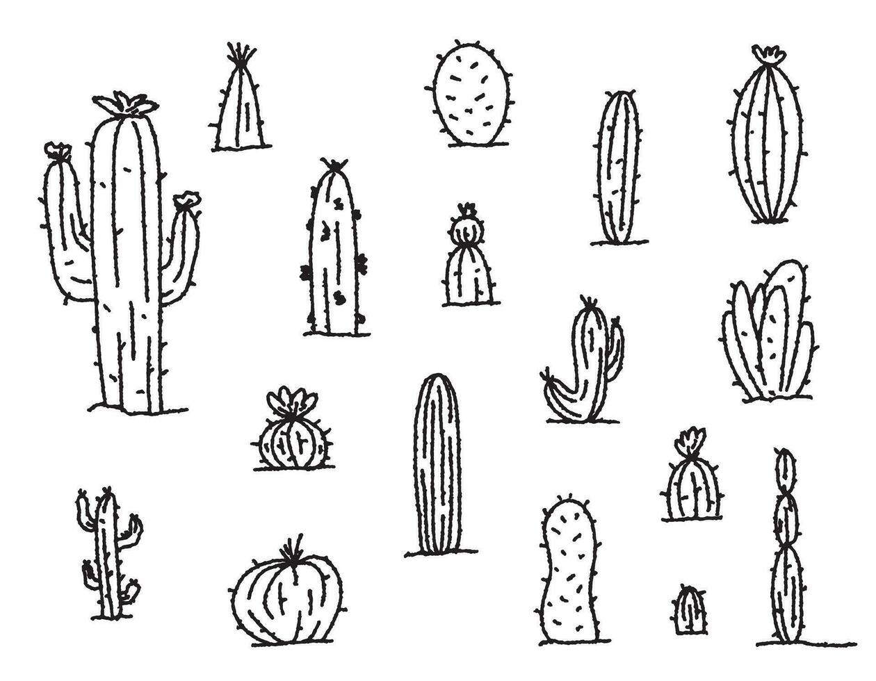 Set of doodle cacti . Line of exotic plants. Doodle sketch vector