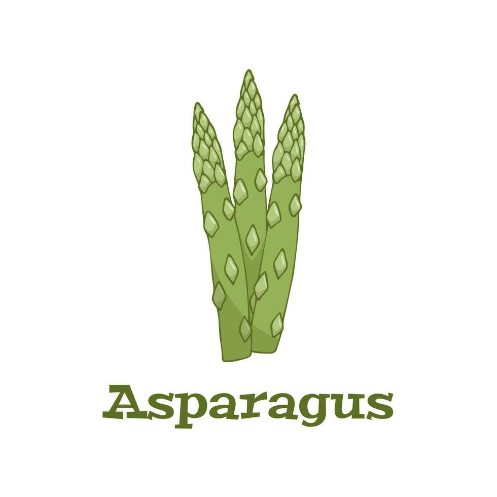 Vegetables. Asparagus green sprouts. Vector illustration cartoon flat icon isolated on white.