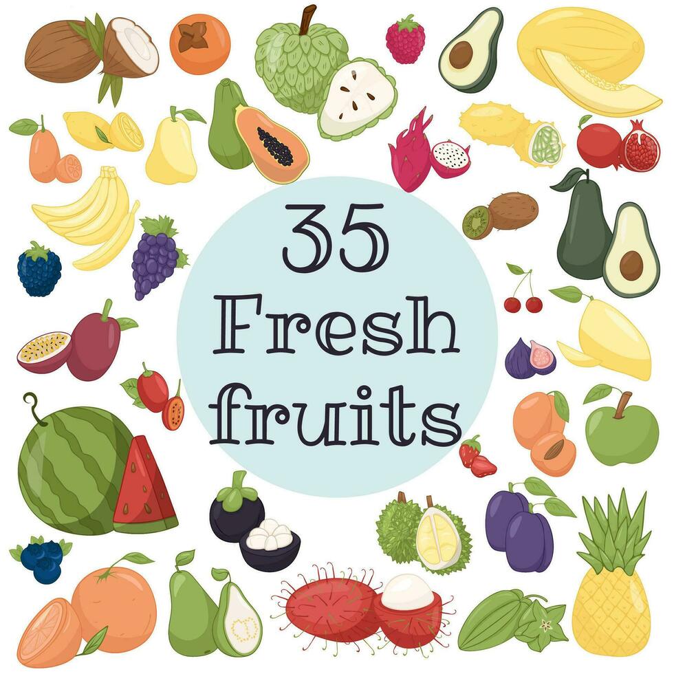 sano comida marco vector ilustración. 35 frutas conjunto ilustración. orgánico comida colocar. bueno nutrición.