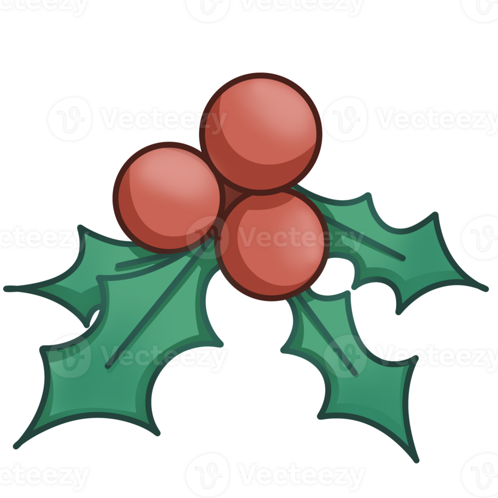 Cute Mistletoe In Christmas png