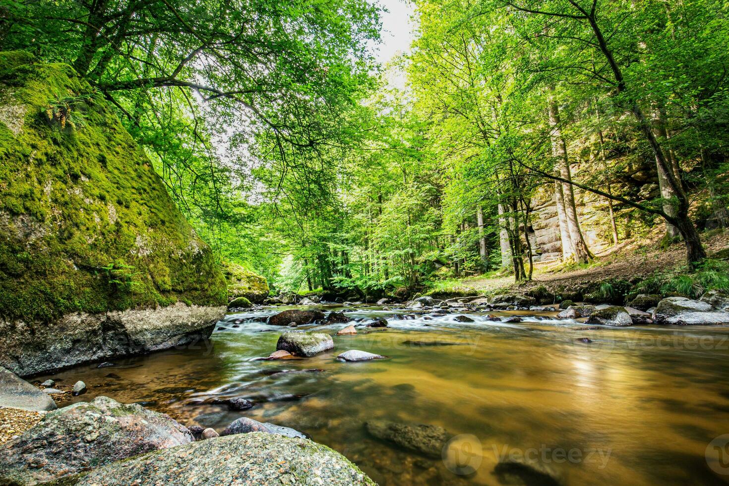 Green forest creek, stream of the Alps mountains. Beautiful water flow, sunny colorful mossy rocks nature landscape. Amazing peaceful and relaxing mountain nature scene, spring summer adventure travel photo