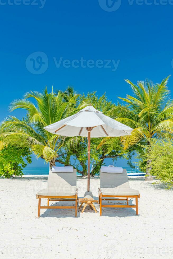 Amazing beach. Romantic chairs umbrella on sandy beach palm leaves, sun sea sky. Summer holiday, couples vacation. Love happy tropical landscape. Tranquil island coast relax beautiful landscape design photo