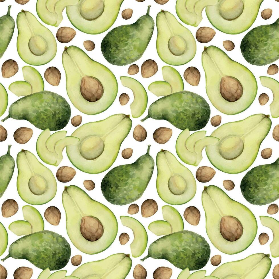 Hand drawn watercolor green avocado slices and whole for diet, healthy lifestyle, vegan cooking. Illustration seamless pattern isolated on white background. Design poster, print, website, card, menu vector