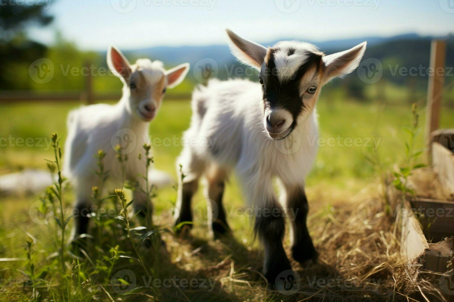 AI generated Cute Little baby goat in the field AI Generated photo