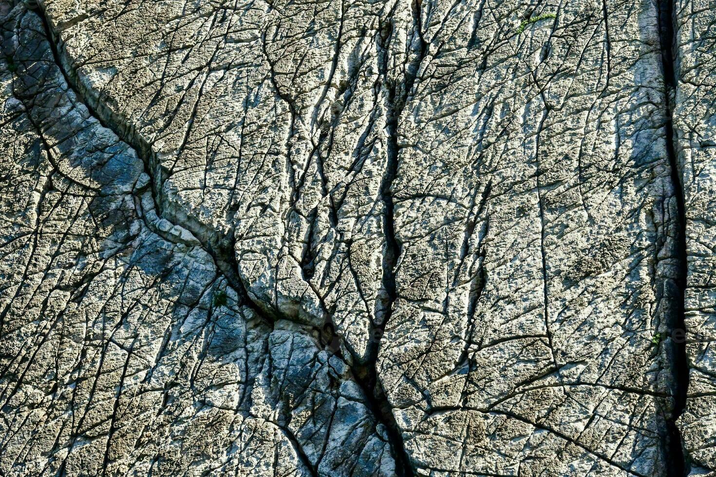 a close up of a cracked wooden surface photo